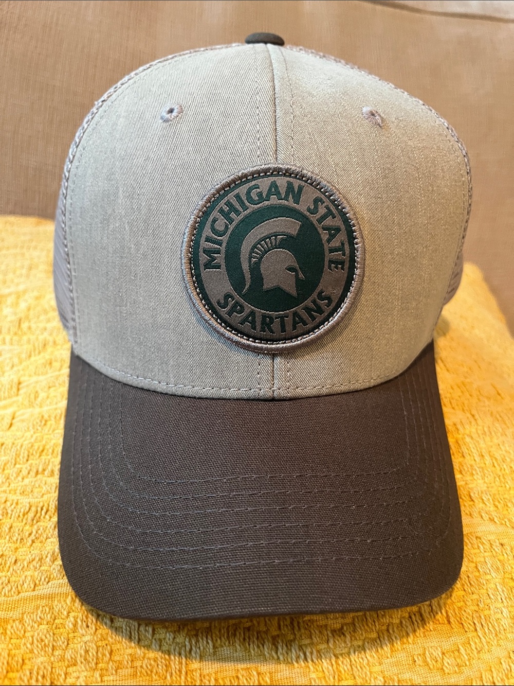 Two-Tone Logo Cap - Gray - Michigan State Spartans Logo
